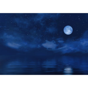 Décor Nuit de Pleine Lune Etoilée