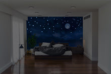 Charger l&#39;image dans la galerie, Décor Nuit de Pleine Lune Etoilée