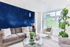 Décor Nuit de Pleine Lune Etoilée