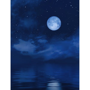 Décor Nuit de Pleine Lune Etoilée